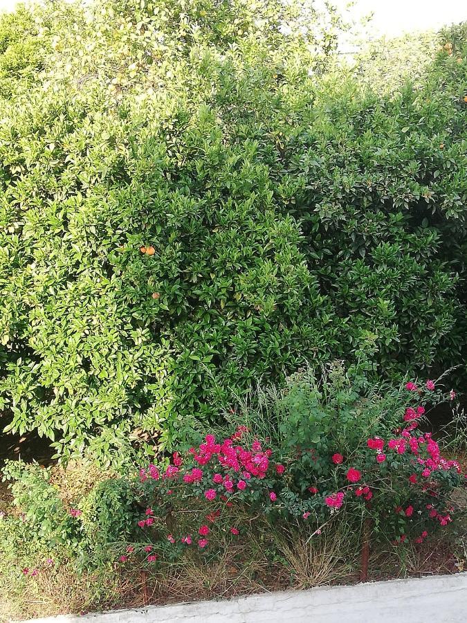 Nicol Apartmens Πρέβεζα Εξωτερικό φωτογραφία